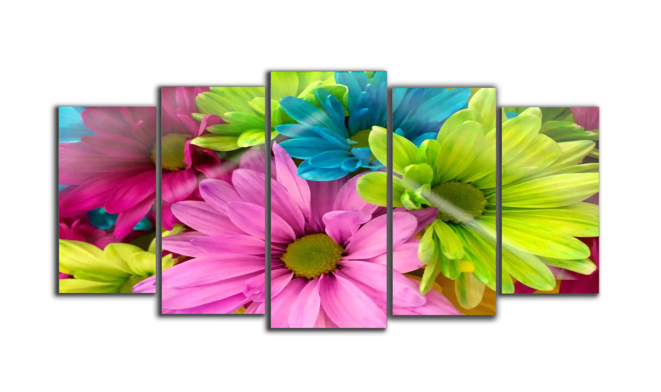 Large-format metal print showing vivid colour and sharp detail